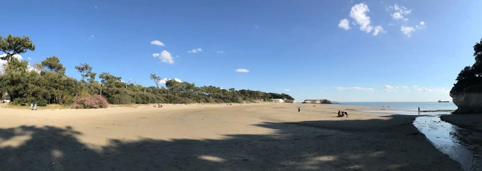 Découvrez hébergement et profitez de notre domaine boisé de 13 hectares, du calme, de la beauté de la nature et des espaces en plein air. Association jardiner ses possibles. Une plage magnifique à Meschers en Charente-Maritime avec un grand ciel bleu, une forêt qui borde la place et des rochers sur la droite de la photo.